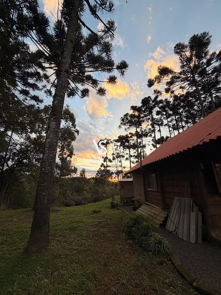Terreno à Venda: 2ª foto da galeria de imagens do imóvel