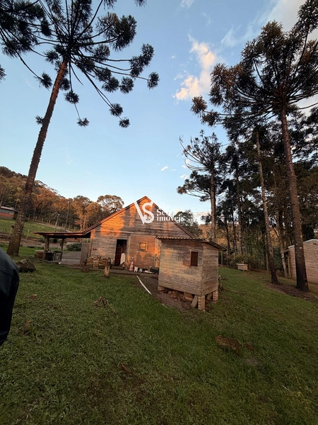Terreno à Venda: 7ª foto da galeria de imagens do imóvel