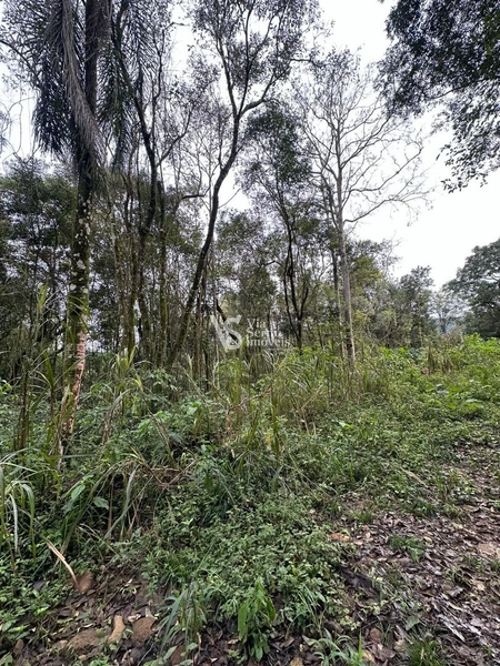 Sítio à venda com 5.6 hectares em localização privilegiada conhecida como a Rota Romântica que liga Gramado e Cenela: 2ª foto da galeria de imagens do imóvel
