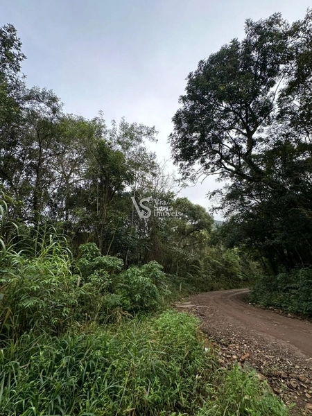 Sítio à venda com 5.6 hectares em localização privilegiada conhecida como a Rota Romântica que liga Gramado e Cenela: 4ª foto da galeria de imagens do imóvel