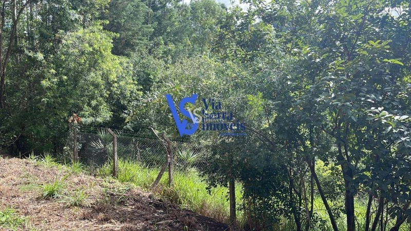 Sítio à venda, em Serra Grande, Igrejinha/RS!: 23ª foto da galeria de imagens do imóvel