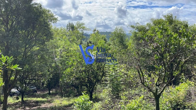 Sítio à venda, em Serra Grande, Igrejinha/RS!: 7ª foto da galeria de imagens do imóvel