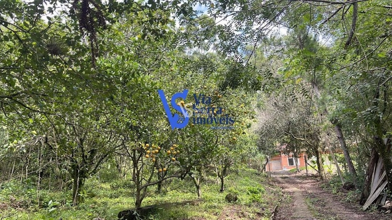 Sítio à venda, em Serra Grande, Igrejinha/RS!: 13ª foto da galeria de imagens do imóvel