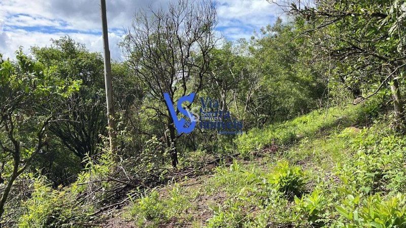 Sítio à venda, em Serra Grande, Igrejinha/RS!: 24ª foto da galeria de imagens do imóvel