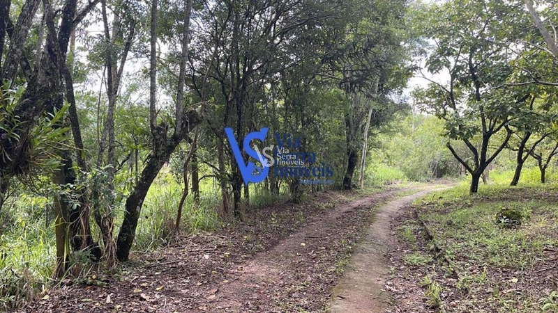 Sítio à venda, em Serra Grande, Igrejinha/RS!: 32ª foto da galeria de imagens do imóvel