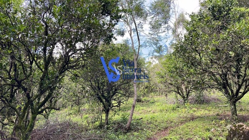 Sítio à venda, em Serra Grande, Igrejinha/RS!: 17ª foto da galeria de imagens do imóvel