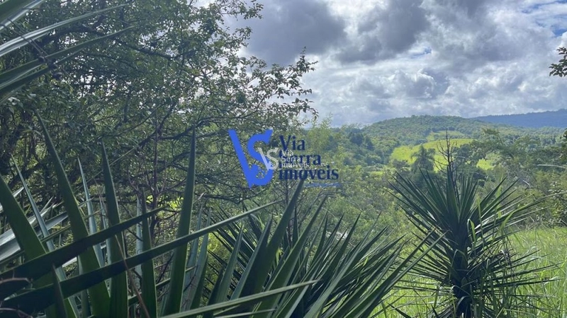 Sítio à venda, em Serra Grande, Igrejinha/RS!: 18ª foto da galeria de imagens do imóvel