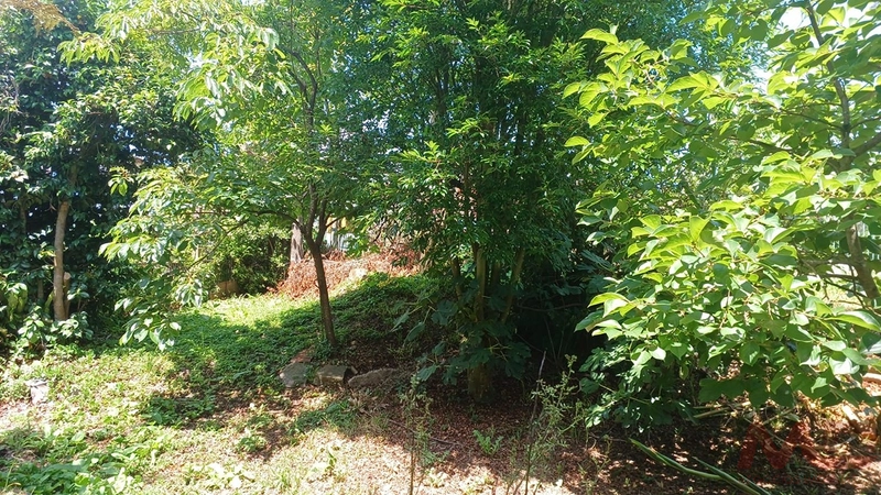 Casa a venda em Canela : 10ª foto da galeria de imagens do imóvel