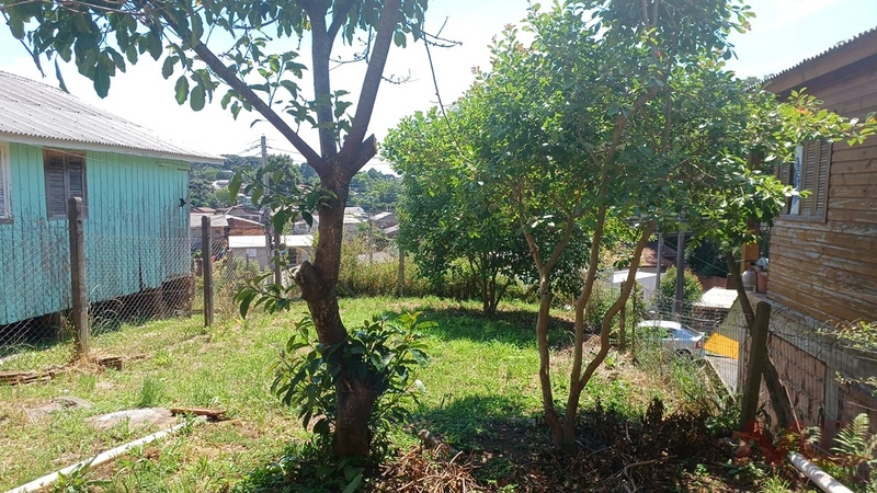 Casa a venda em Canela : 8ª foto da galeria de imagens do imóvel