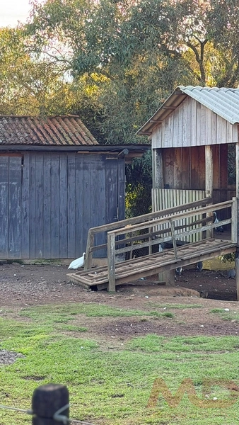 SITIO/ CHACARAS 4 QUARTOS PARA VENDA BAIRRO IVOTI  RS ZONA RURAL: 40ª foto da galeria de imagens do imóvel