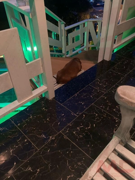 Casa a venda em Parobé: 18ª foto da galeria de imagens do imóvel