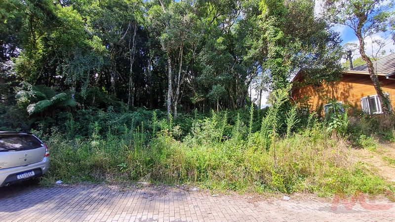 terreno a venda em canela rs: 4ª foto da galeria de imagens do imóvel