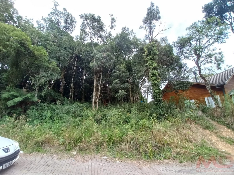 terreno a venda em canela rs: 1ª foto da galeria de imagens do imóvel