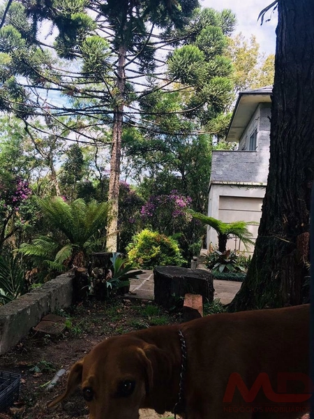 Casa a venda em Gramado: 28ª foto da galeria de imagens do imóvel
