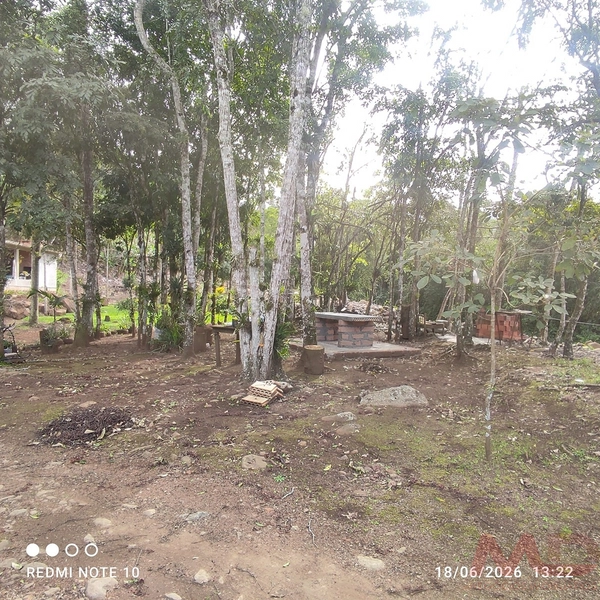 Sitio a venda em Tres Forquilhas rs: 4ª foto da galeria de imagens do imóvel
