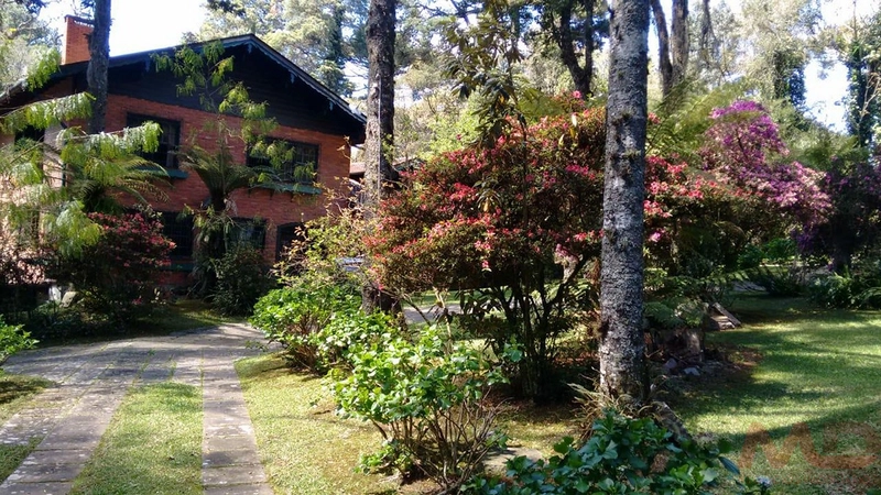 Casa a venda em Canela.: 25ª foto da galeria de imagens do imóvel