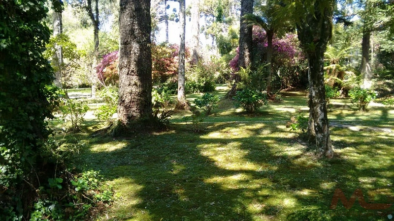 Casa a venda em Canela.: 22ª foto da galeria de imagens do imóvel