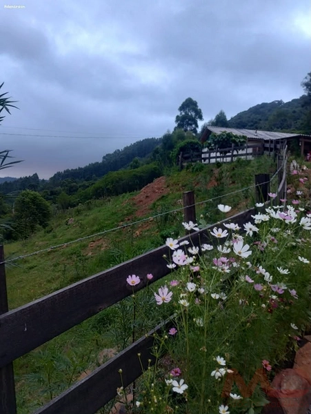 SITIO  A VENDA EM SANTA MARIA DO HERVAL RS  : 6ª foto da galeria de imagens do imóvel