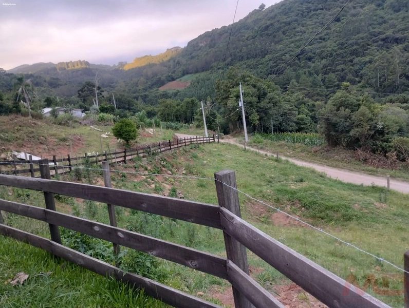 SITIO  A VENDA EM SANTA MARIA DO HERVAL RS  : 5ª foto da galeria de imagens do imóvel