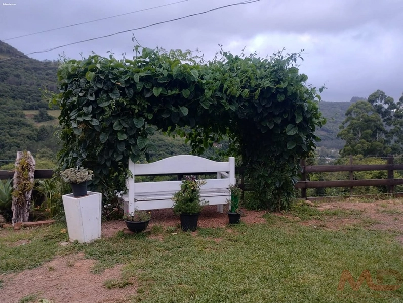 SITIO  A VENDA EM SANTA MARIA DO HERVAL RS  : 8ª foto da galeria de imagens do imóvel