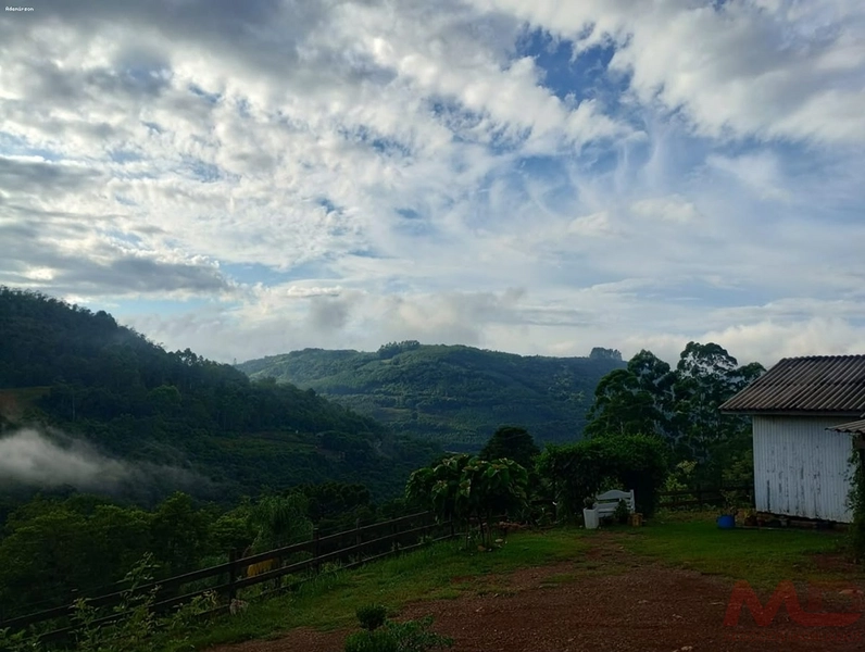 SITIO  A VENDA EM SANTA MARIA DO HERVAL RS  : 10ª foto da galeria de imagens do imóvel