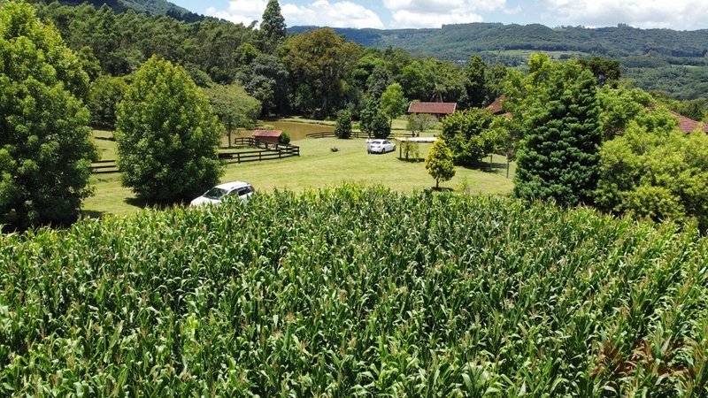 SITIOS/ CHACARAS PARA VENDA COM 6 DORMITORIOS SANTA MARIA DO HERVAL RS: 12ª foto da galeria de imagens do imóvel