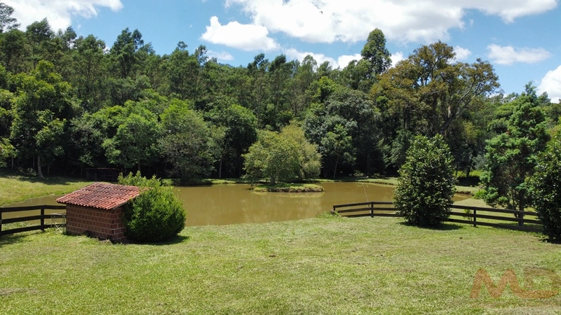 SITIOS/ CHACARAS PARA VENDA COM 6 DORMITORIOS SANTA MARIA DO HERVAL RS: 5ª foto da galeria de imagens do imóvel