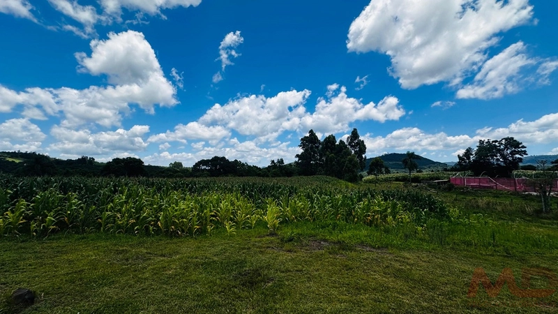 SITIOS/ CHACARAS PARA VENDA COM 6 DORMITORIOS SANTA MARIA DO HERVAL RS: 19ª foto da galeria de imagens do imóvel