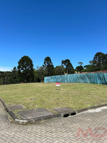 TERRENO EM CONDOMINIO NA CIDADE DE CANELA RS: 3ª foto da galeria de imagens do imóvel