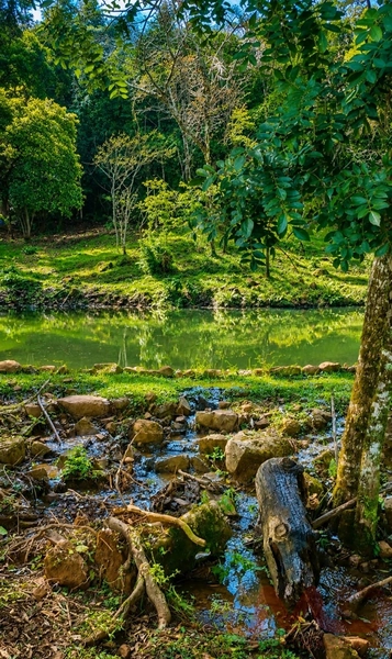 null: 4ª foto da galeria de imagens do imóvel
