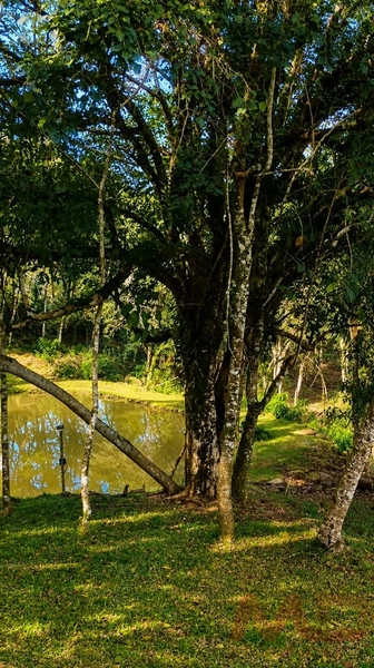 null: 3ª foto da galeria de imagens do imóvel