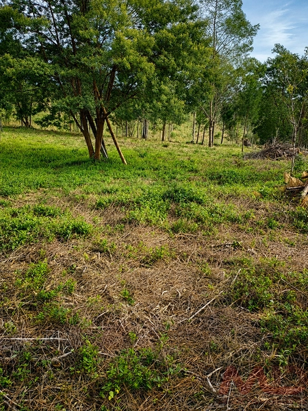 Imóvel residencial ou comercial