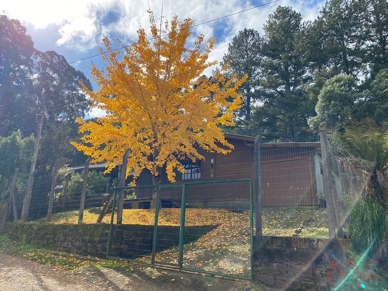 CASA A VENDA EM GRAMADO RS: 15ª foto da galeria de imagens do imóvel