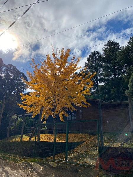 CASA A VENDA EM GRAMADO RS: 18ª foto da galeria de imagens do imóvel