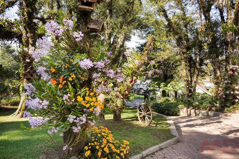 CASA EM CANELA : 9ª foto da galeria de imagens do imóvel