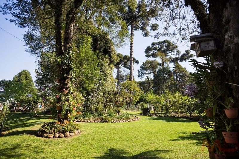 CASA EM CANELA : 8ª foto da galeria de imagens do imóvel