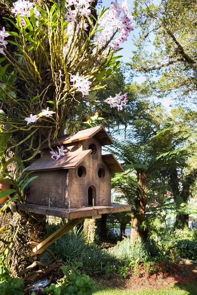 CASA EM CANELA : 5ª foto da galeria de imagens do imóvel