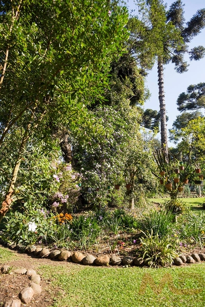 CASA EM CANELA : 4ª foto da galeria de imagens do imóvel