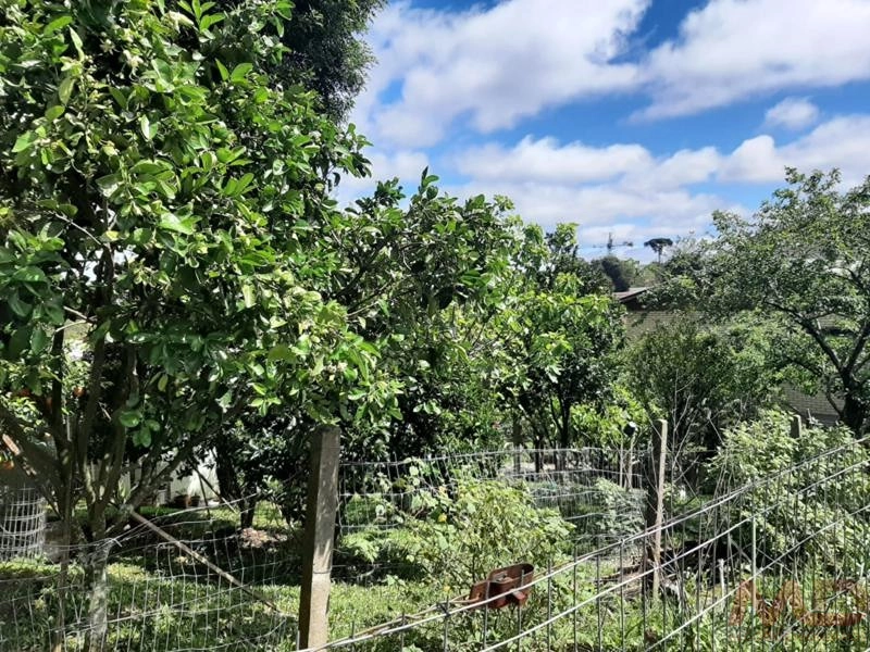 Casa a venda em Canela.: 8ª foto da galeria de imagens do imóvel