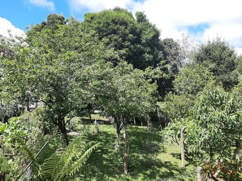 Casa a venda em Canela.: 6ª foto da galeria de imagens do imóvel