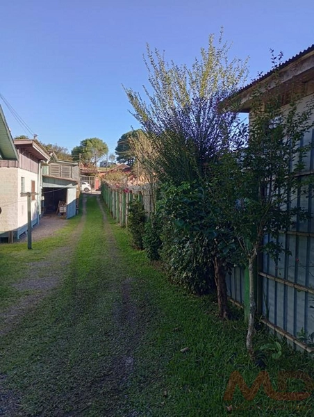 Casa a venda em Canela.: 14ª foto da galeria de imagens do imóvel