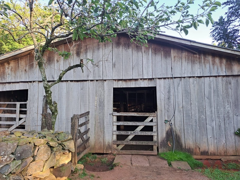 sitio em são francisco de paula rs: 12ª foto da galeria de imagens do imóvel