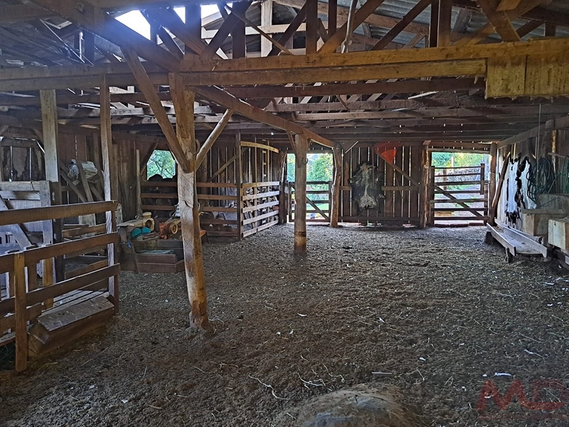 sitio em são francisco de paula rs: 29ª foto da galeria de imagens do imóvel