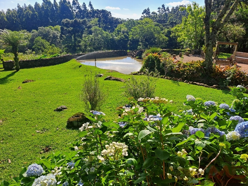 sitio em são francisco de paula rs: 4ª foto da galeria de imagens do imóvel