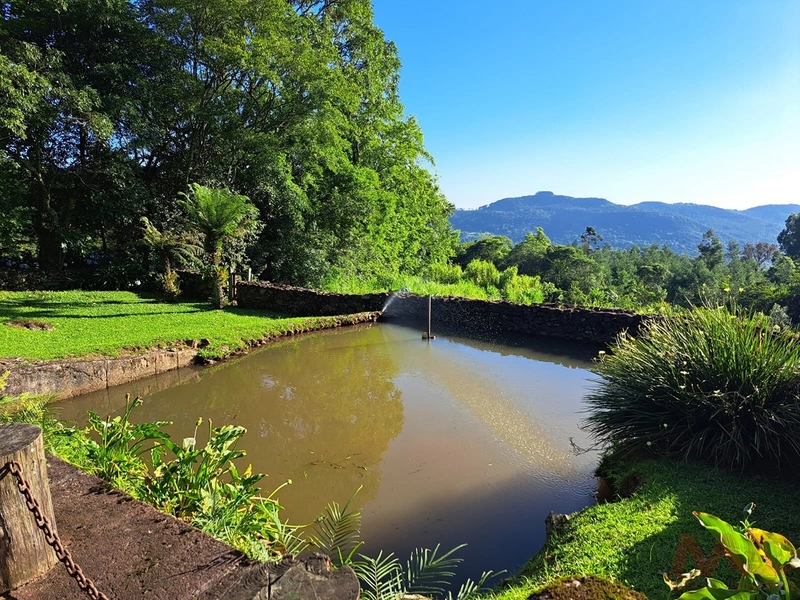 sitio em são francisco de paula rs: 10ª foto da galeria de imagens do imóvel