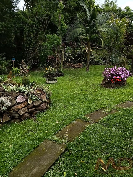 sitio em gramado rs 15 km do portico : 9ª foto da galeria de imagens do imóvel