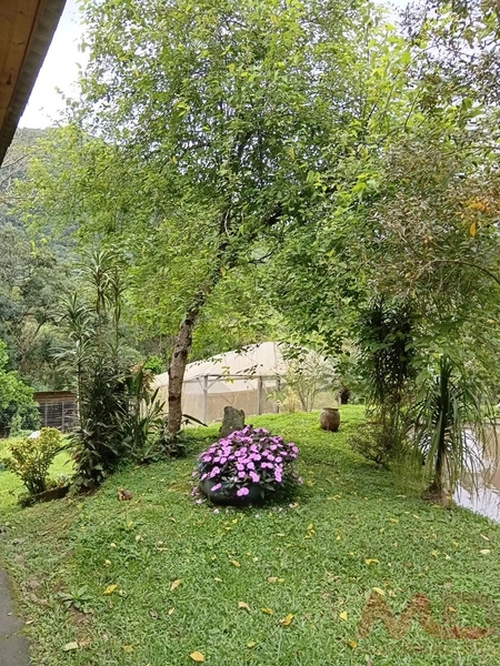 sitio em gramado rs 15 km do portico : 12ª foto da galeria de imagens do imóvel