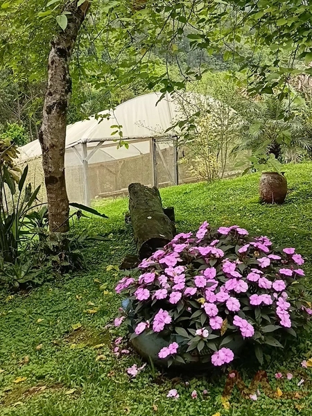 sitio em gramado rs 15 km do portico : 5ª foto da galeria de imagens do imóvel