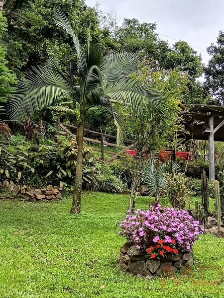 sitio em gramado rs 15 km do portico : 2ª foto da galeria de imagens do imóvel
