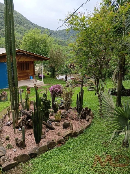 sitio em gramado rs 15 km do portico : 10ª foto da galeria de imagens do imóvel